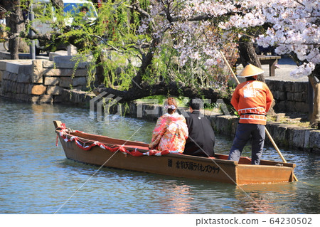 Seto bride 409 Seto bride 409 64230502