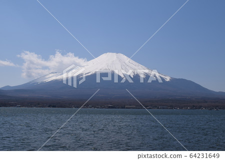 春季的富士山和本栖湖 64231649