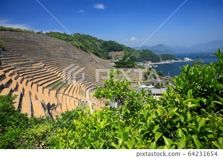 [Ehime Prefecture] Yuuji terraced fields under fine weather 64231654