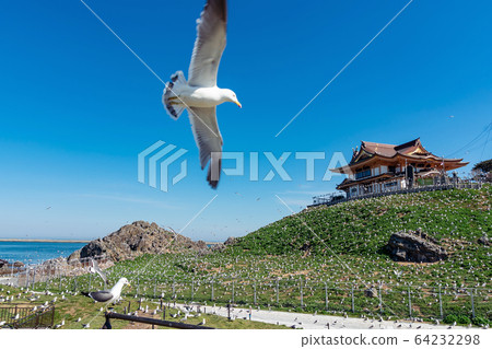 [Hachinohe City Kabushima] Sea breeding ground Kabushima 64232298