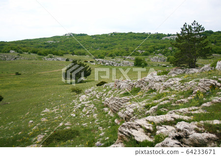 Mountain landscape. Mountain landscape. Green lawn Mountain landscape. Mountain landscape. Green lawn 64233671