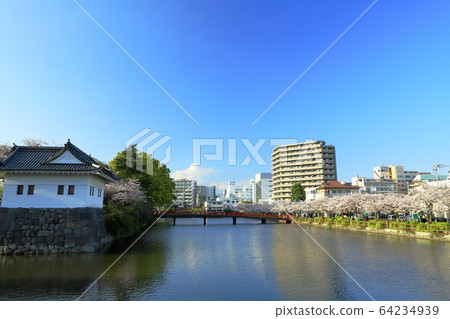 Odawara Castle Sakura Odawara Castle Ruins Park City 64234939