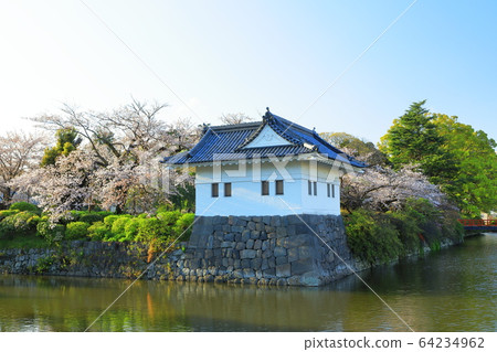 小田原城櫻花小田原城遺址公園市 小田原城櫻花小田原城遺址公園市 64234962