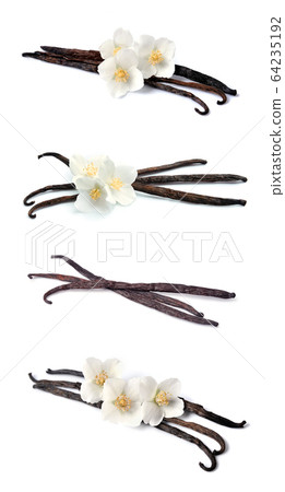 Vanilla with flowers. 64235192