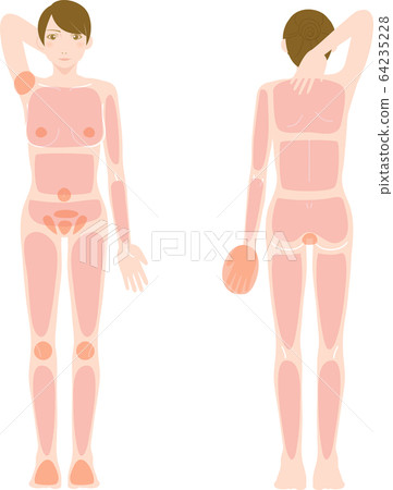 Woman hair loss beauty nude nude whole body front / back 64235228
