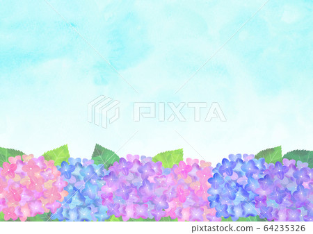 繡球 繡球 64235326