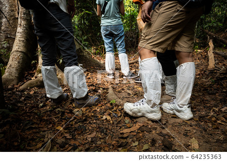 Legs protected by long socks from leeches in Legs protected by long socks from leeches in 64235363