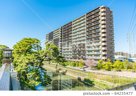 Nikko Kaido National designated scenic spot Soka Matsubara 64235477