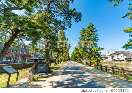 Nikko Kaido National designated scenic spot Soka Matsubara 64235533