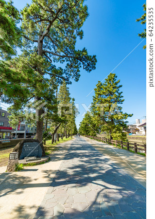 Nikko Kaido National designated scenic spot Soka Matsubara 64235535