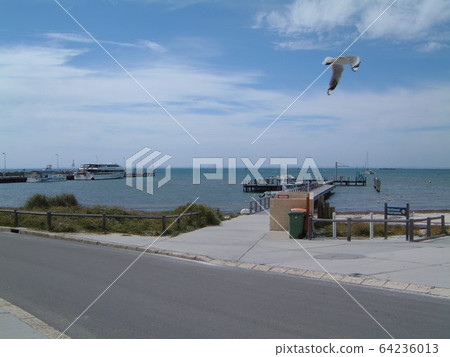 Rottnest @ Rottnest @ Rottnest 64236013