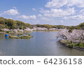 Akashi Park Sakura 17 64236158