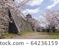 Akashi Park Sakura 18 64236159