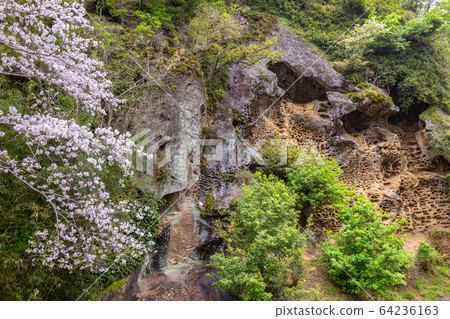 Kozagawa-cho在春天 Kozagawa-cho在春天 64236163