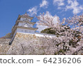 Akashi Park Sakura 01 64236206