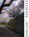 Akashi Park Sakura 06 64236214