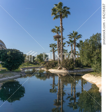 Valencia, Spain Famous Turia gardens, park made in old riverbed Gigapan reflection in the water Valencia, Spain Famous Turia gardens, park made in old riverbed Gigapan reflection in the water 64236887