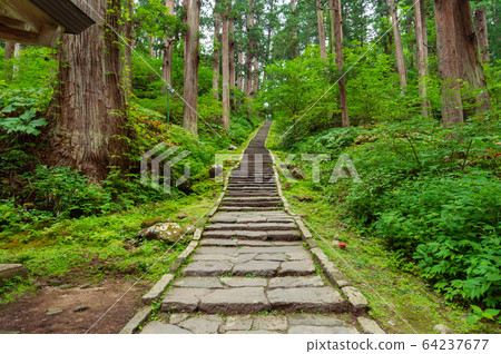 [Tsuruoka City, Yamagata Prefecture] Omotesando, a row of cedar trees in Haguro, is a power spot worth visiting. 64237677