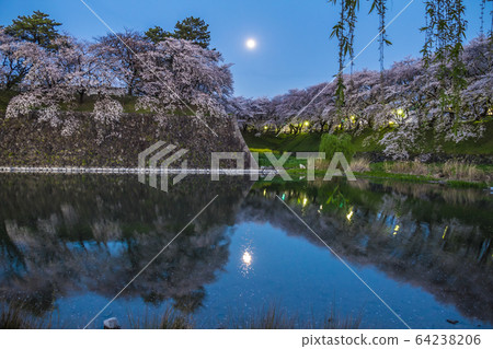 Aichi Prefecture Nagoya Castle night view Aichi Prefecture Nagoya Castle night view 64238206