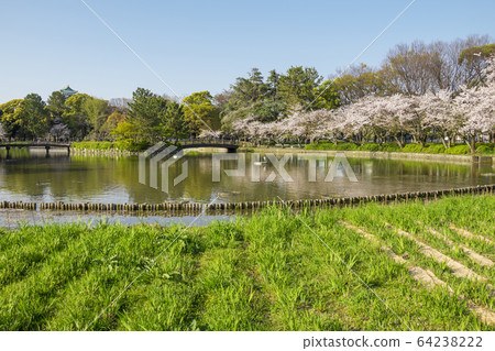 愛知縣名古屋市名古屋公園 愛知縣名古屋市名古屋公園 64238222
