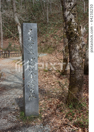 Shiogama's cold spring 64238250