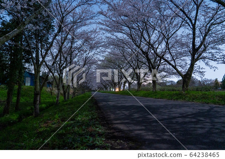 津市安野北上山花路 津市安野北上山花路 64238465