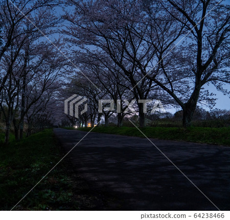 津市安野北上山花路 64238466