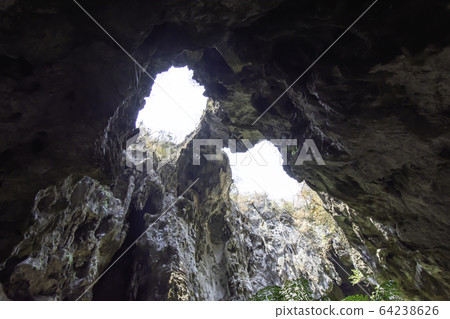 The light shining through trees from top to bottom inside cave at Phraya Nakhon Cave National Park 64238626