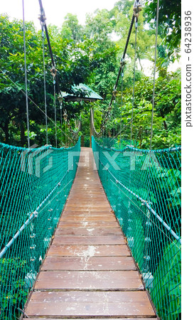 Beautiful green park with cable cars. Wildlife 64238936