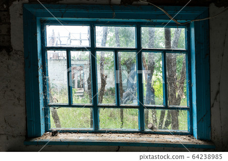 View from an old dirty window to a garden with View from an old dirty window to a garden with 64238985