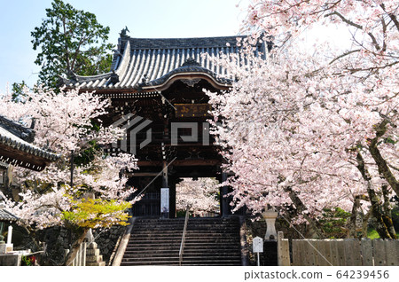 西門3號 西門3號 64239456