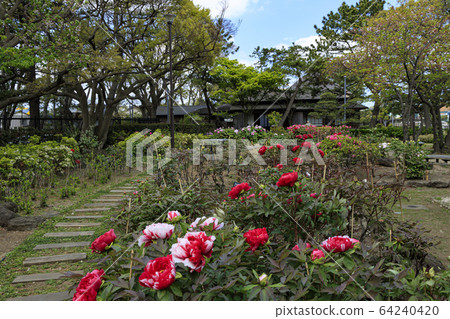 Old house (spring) 64240420
