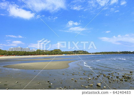 海洋公園（春季） 64240483