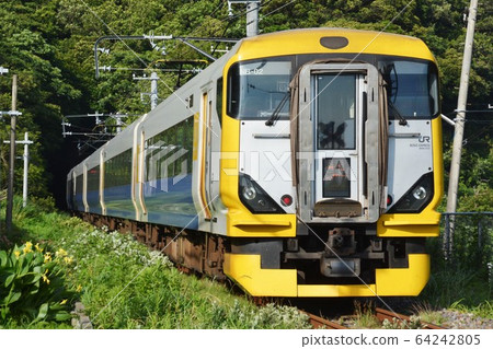 Limited express Sazanami on the Boso Peninsula 64242805