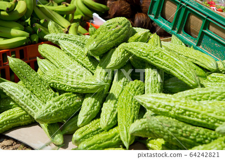 Fresh bitter melon or gourd 64242821