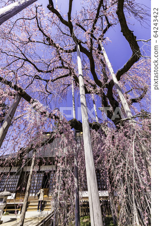 (Yamanashi Pref.) (Yamanashi Pref.) 64243422