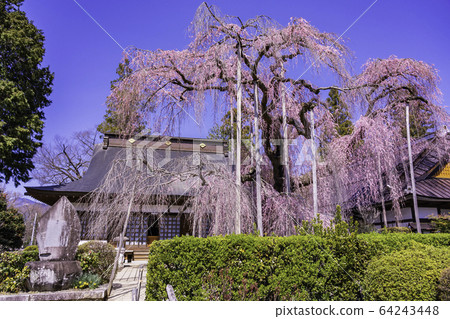 (Yamanashi Pref.) (Yamanashi Pref.) 64243448