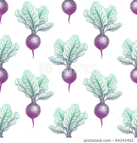 Seamless pattern with beetroot. Seamless pattern with beetroot. 64243482
