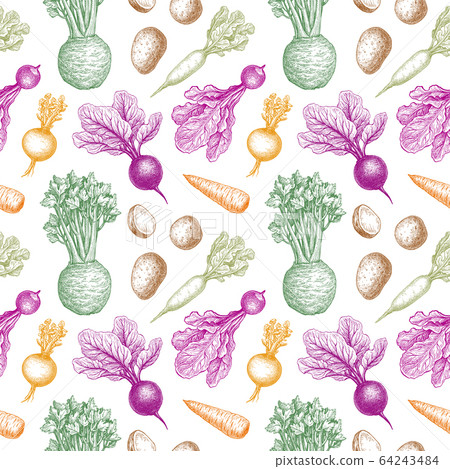 Seamless pattern with root vegetables. 64243484