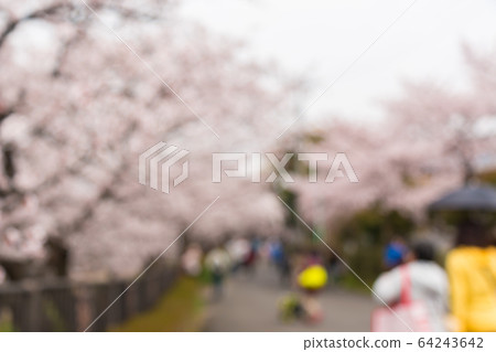 Abstract beautiful blurred background of cherry Abstract beautiful blurred background of cherry 64243642