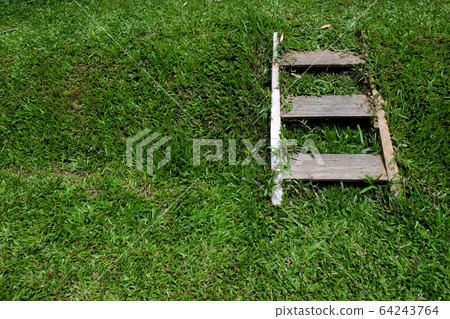The way path in outdoor green grass park 64243764