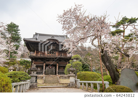 Sa玉縣小松正門市三門市日高市 64243812