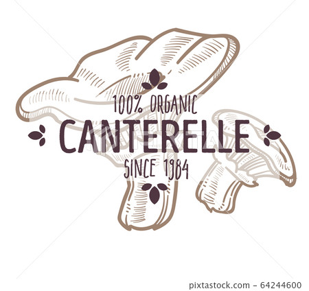 Chanterelle mushroom label, Cantharellus fungi eadible type 64244600