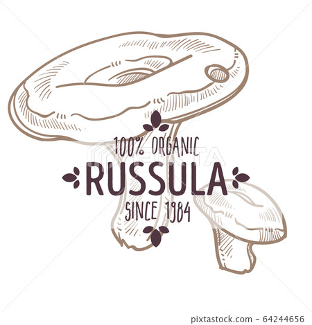 Russula mushroom, Agaricus fungi monochrome sketch label vector 64244656