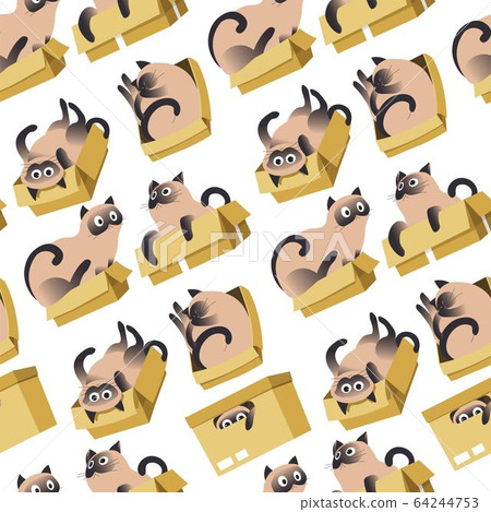 Cat playing in box, cute kitten character seamless pattern 64244753