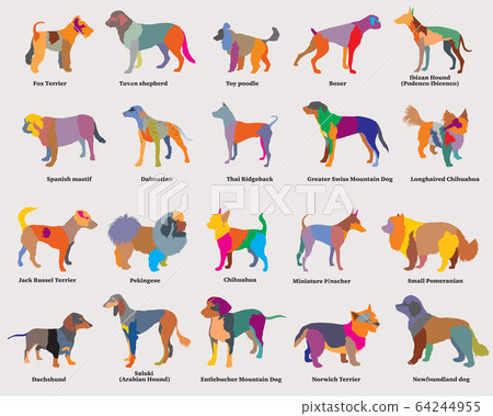 Vector set of colorful mosaic dogs silhouettes-4 Vector set of colorful mosaic dogs silhouettes-4 64244955