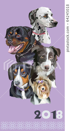 Postcard with dogs of different breeds-4 64245018
