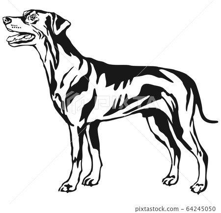 Decorative standing portrait of dog German Decorative standing portrait of dog German 64245050