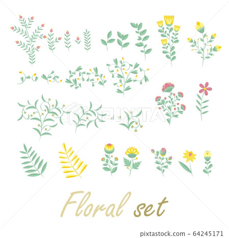 Sloral set. Colorful collection with flowers and leaves Sloral set. Colorful collection with flowers and leaves 64245171