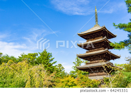 Ninnaji Temple 64245331
